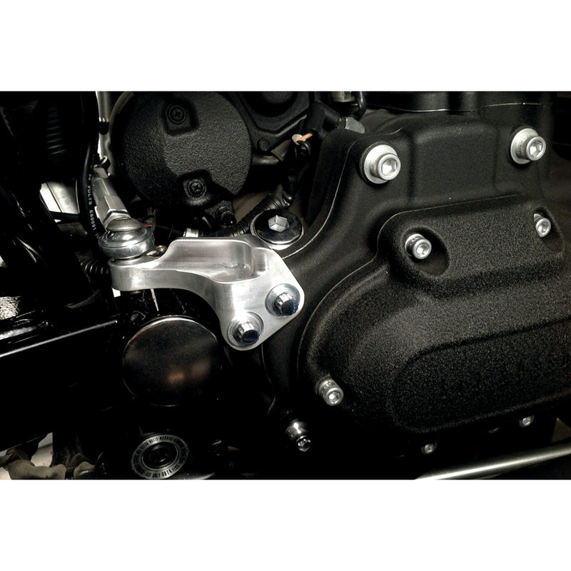 Alloy Art Stabilizer Kit - DC-2 For Harley Motorcycles 2006-2017