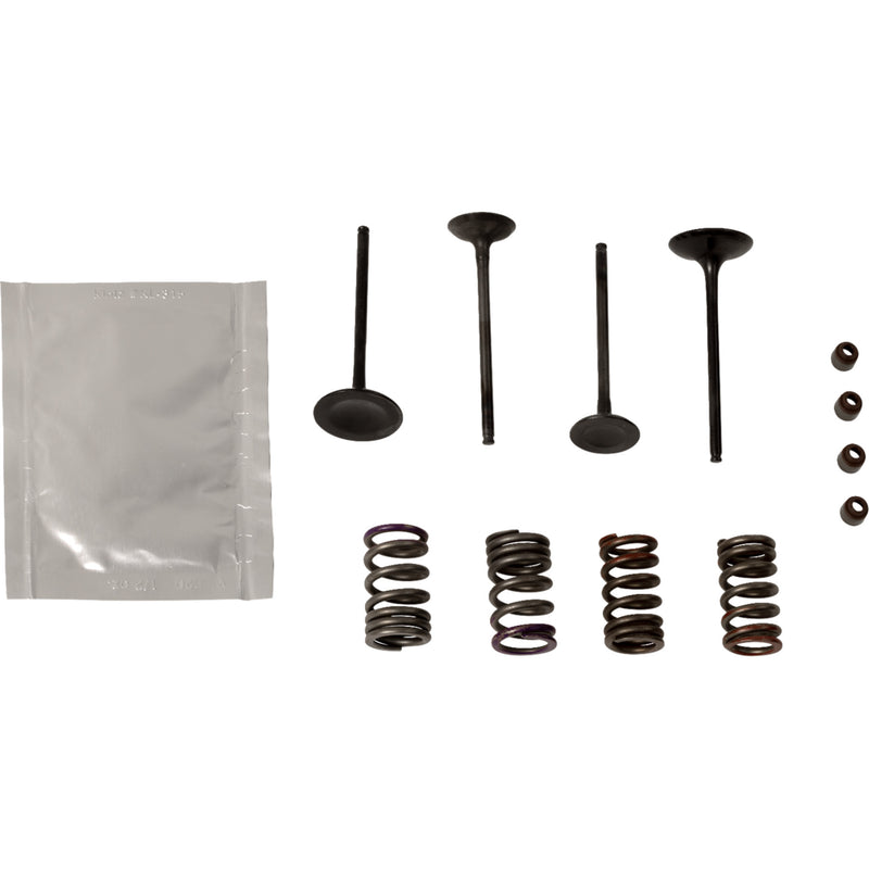 Wiseco Garage Buddy Valve Kit - SVKB4338 Kawasaki KX 250 2009-2010