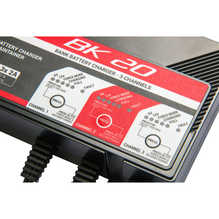 BS BATTERY 3807-0654 700554 Smart Bank Battery Charger and Maintainer with Reconditioning Function Charger - BK20 - 12V - 3 x 2A