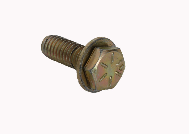 System 3 3-10020G BOLTS3-100-20 BEADLOCK 5/16" BOLT (20 PCS) CADMIUM (GOLD)