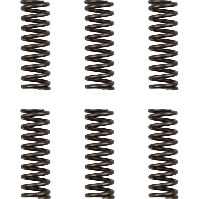 Moose Offroad Spring Set - HDS-156-6 Yamaha WR 450 / YZ 450 2018-2023