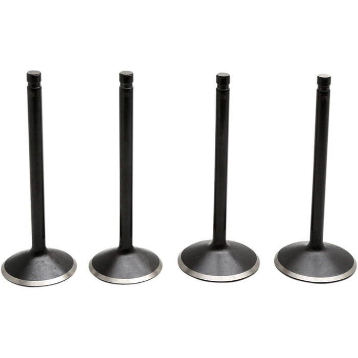KIBBLEWHITE 0926-3209 20-22600 Engine Valve Kit Valve Kit - Evolution