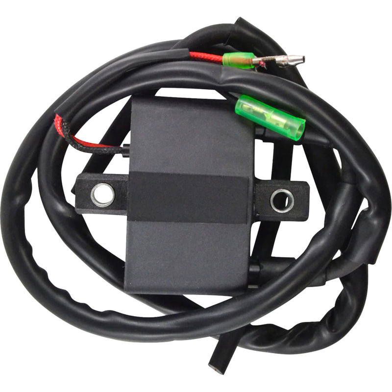 RM STATOR 2102-0493 RM06061 Ignition Coil external - arctic cat