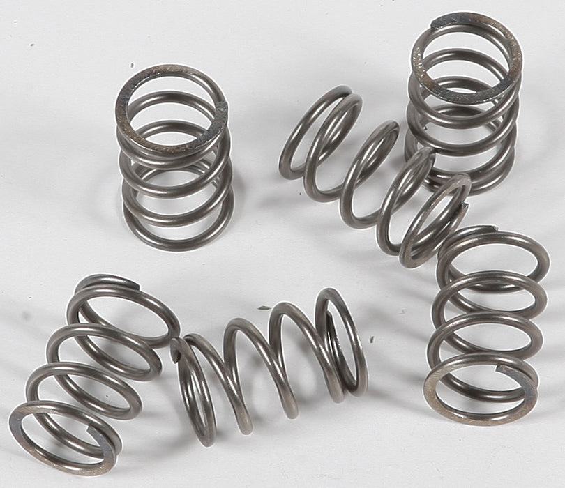 Ebc 15-17197 CSK197 CLUTCH SPRINGS CSK197