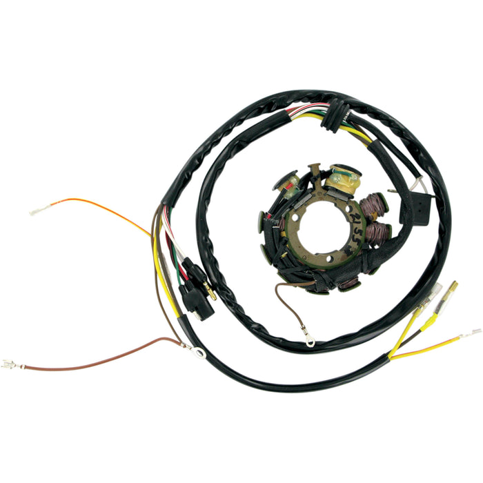RICK'S MOTORSPORT ELECTRIC 2112-0338 21-553 Stator for Polaris Stator