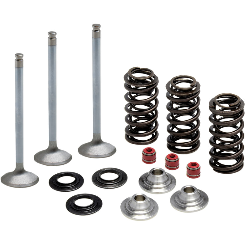 KIBBLEWHITE 0926-2739 80-80950 Stainless Steel Conversion Valve and Spring Kit Valve Spring Kit