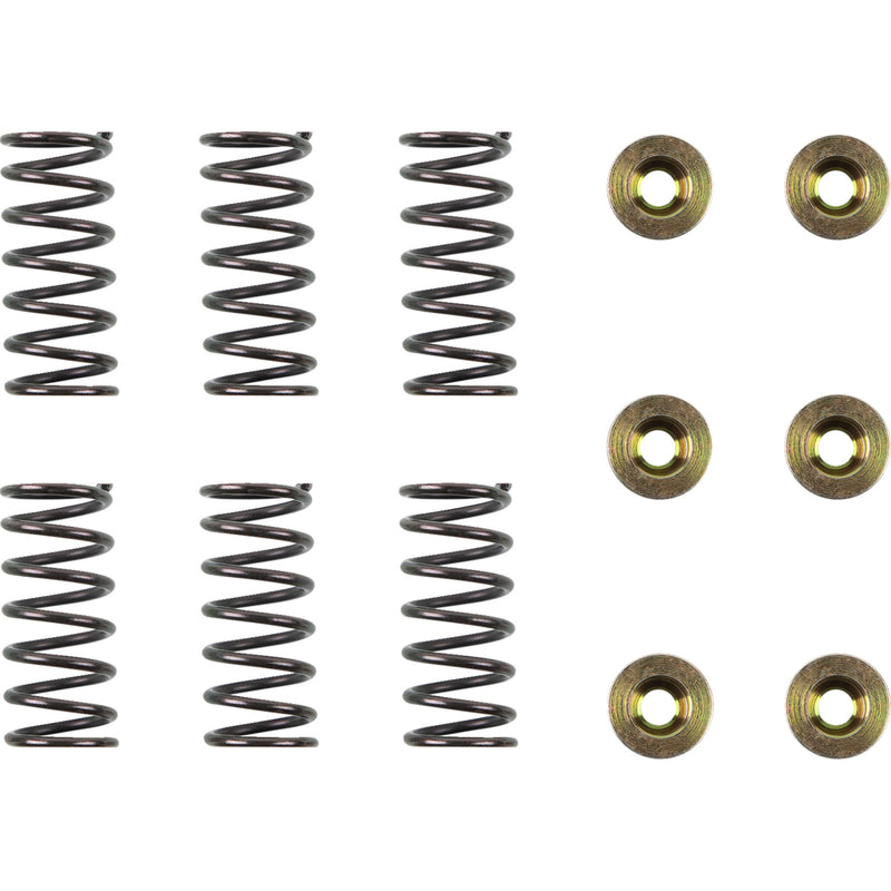 Barnett Spring Kit - 505-40-06095 Ducati 600 / Monster 620 / Sport 620 / 620 Sport 1995-2003