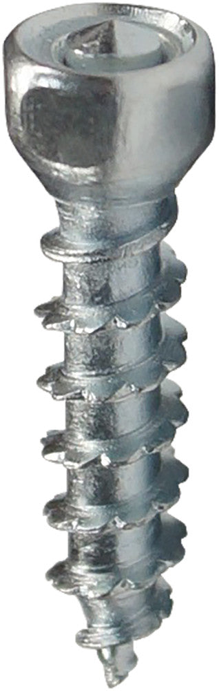 Woody's 18-31020-100 WST-0830-100 BOSS TWIST SCREWS 30MM 100/PK