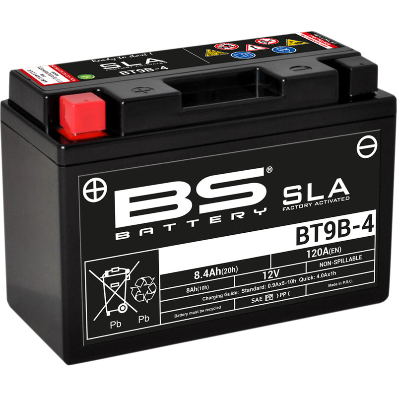 BS BATTERY 2113-0620 300642 SLA Factory- Activated AGM Maintenance-Free Battery Battery - BT9B-4 (YT)
