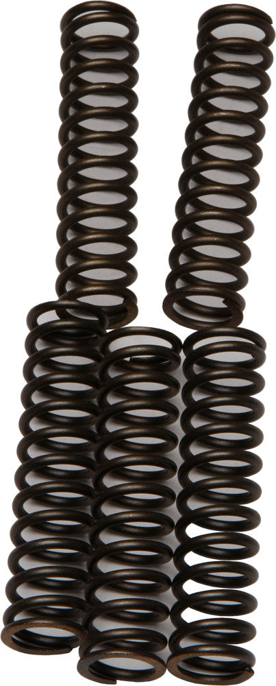 EBC Clutch Springs - CSK110 Kawasaki Motorcycles 2004-2011