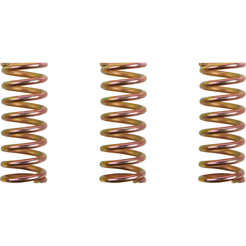 Barnett Spring Kit - 501-35-03099 For Ducati Multistrada 1200 / Monster 1100 2010-2017 | Triumph Daytona 675 2013-2015