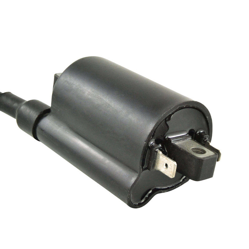 Rm Stator External Ignition Coil - RM06163 Kawasaki 300 Lakota / Lakota Utility / 300 Lakota Sport / Lakota Sport 1995-2003