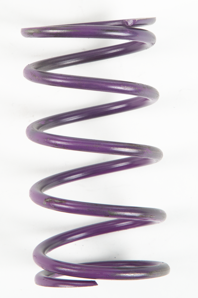 Comet 207888 207888A PURPLE SPRING