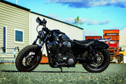 Kuryakyn 6708 Dillinger Handguards Silver - User 3