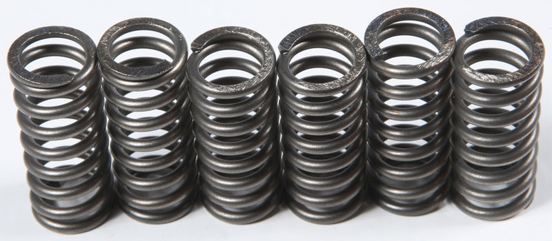 Ebc 15-17210 CSK210 CLUTCH SPRINGS CSK210