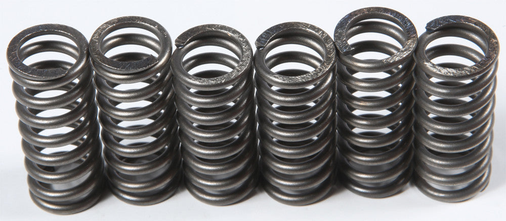 Ebc 15-17210 CSK210 CLUTCH SPRINGS CSK210