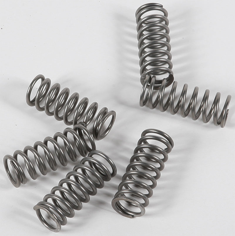 Ebc Clutch Springs - CSK198 Suzuki 750 / 600F Katana / 600 / 600S Bandit 1990-2006