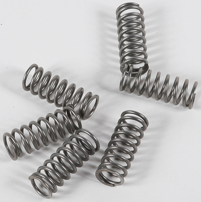 Ebc 15-17198 CSK198 CLUTCH SPRINGS CSK198