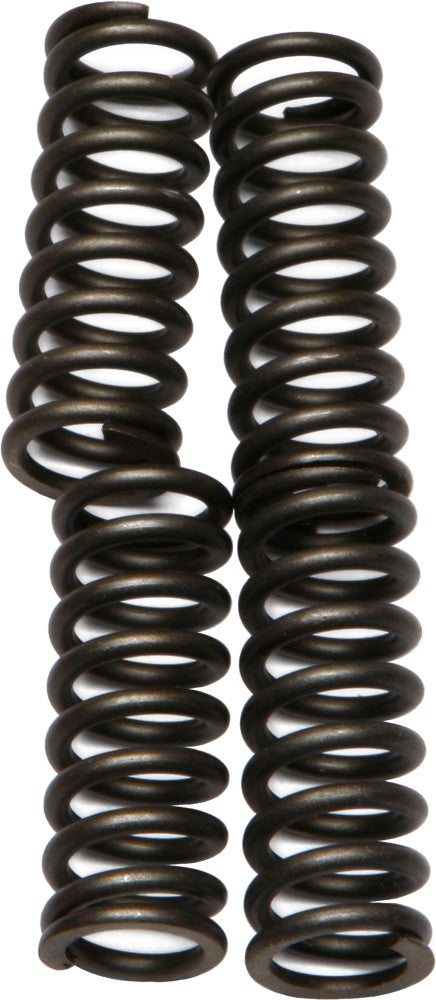 Ebc Clutch Springs - CSK83 Triumph 600 / Speed Four 600 / Daytona 600 2000-2005