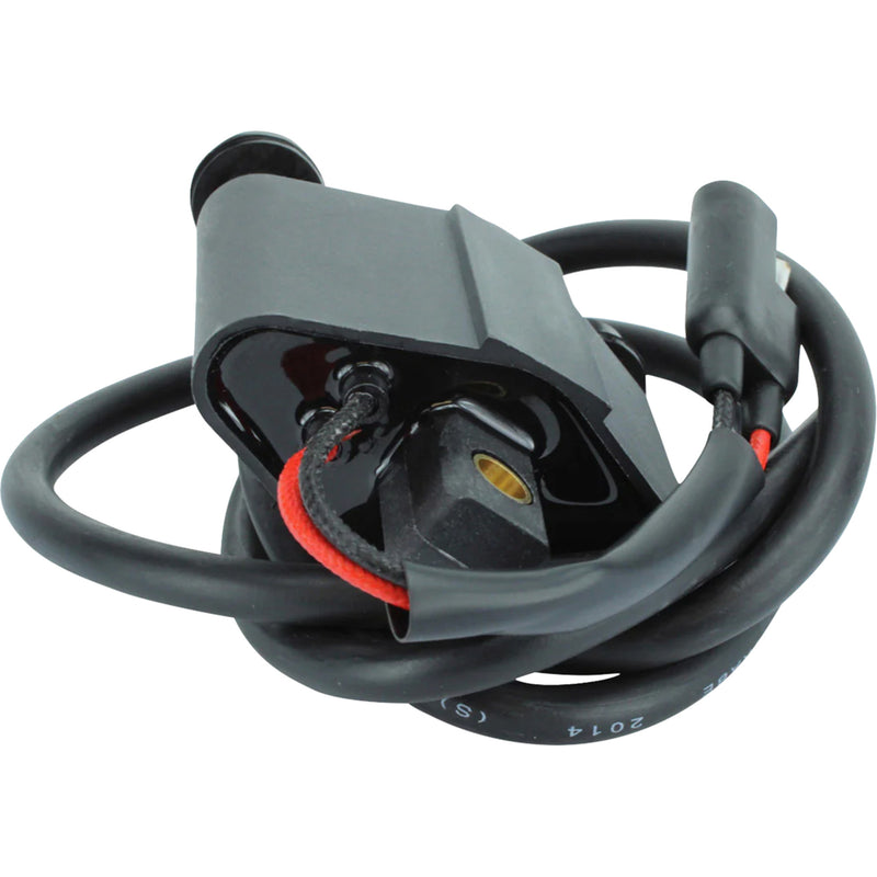 Rm Stator Coil - RM06123 Polaris Snowmobiles 1999-2009