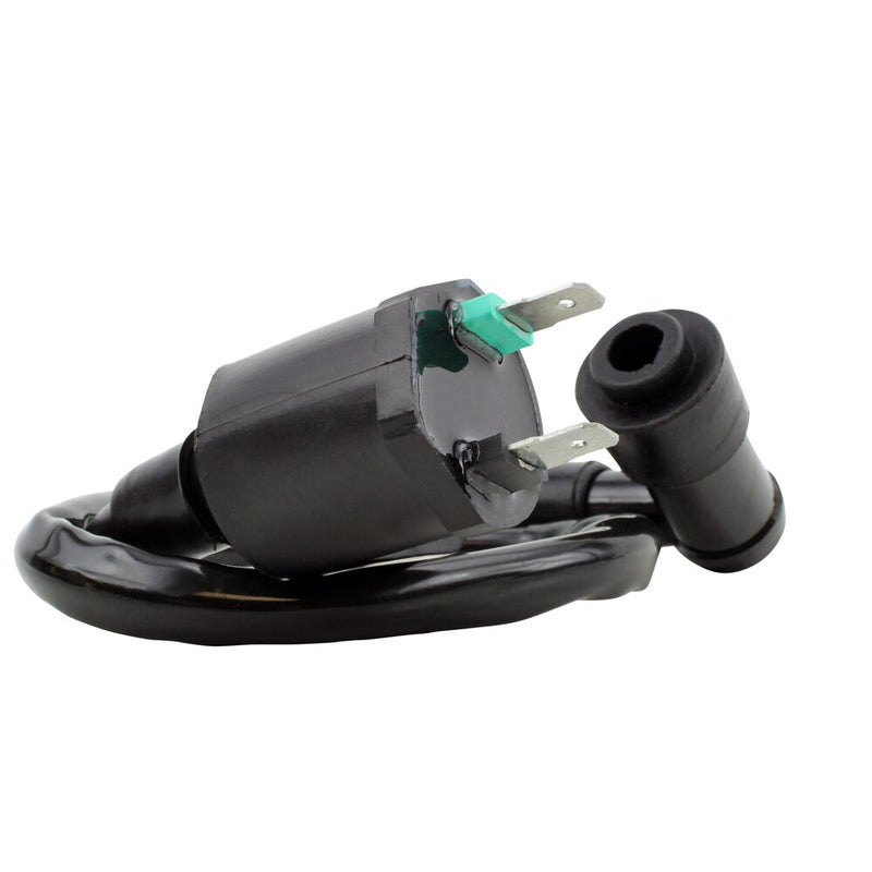 Rm Stator 97-0049 RM06001 EXTERNAL IGNITION COIL W/SPARK PLUG CAP