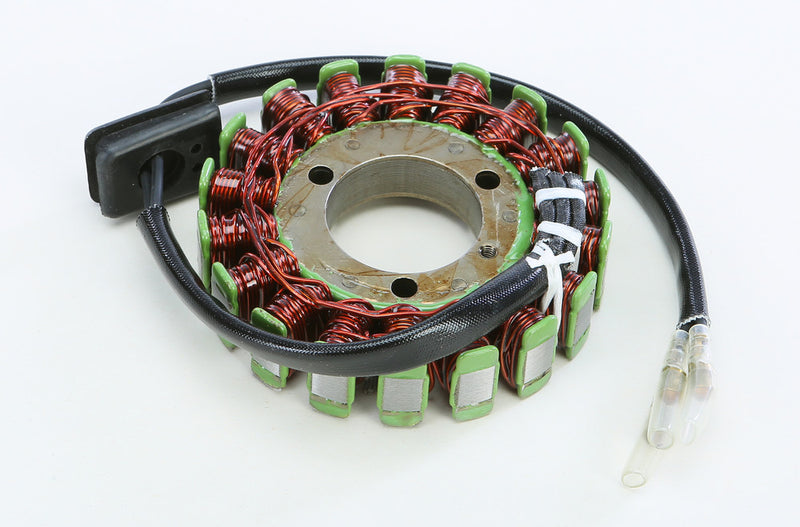 Rick's Motorsport Electric 27-21201 21-201 STATOR