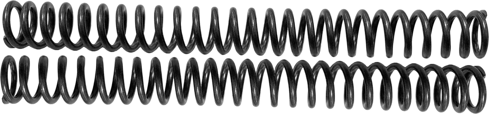 Harddrive 890-01250 R3050076 SCEPTER OPTION SPRING STD 39MM