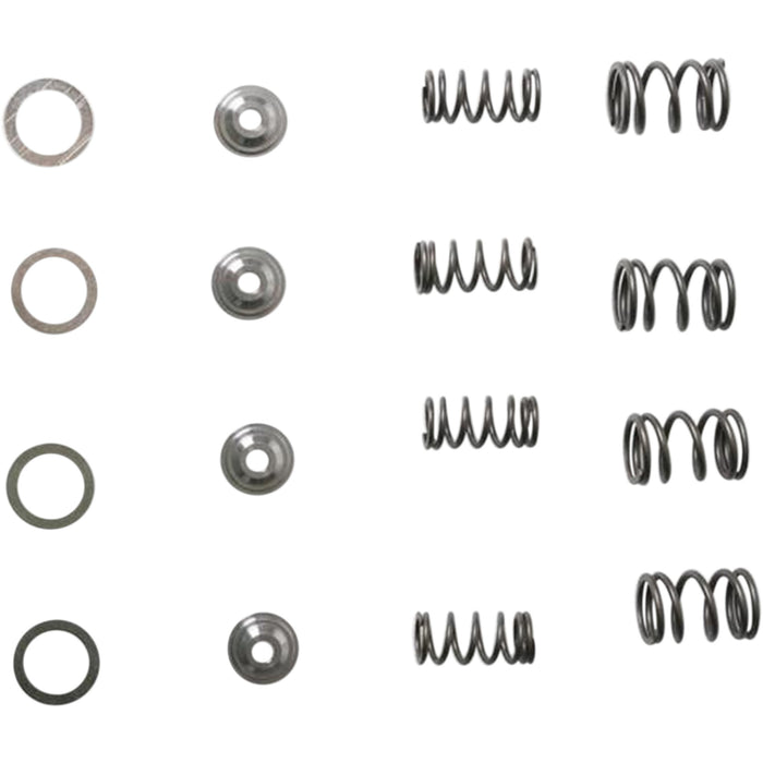 KIBBLEWHITE KW-30-3041 30-3041 Valve Spring Kit