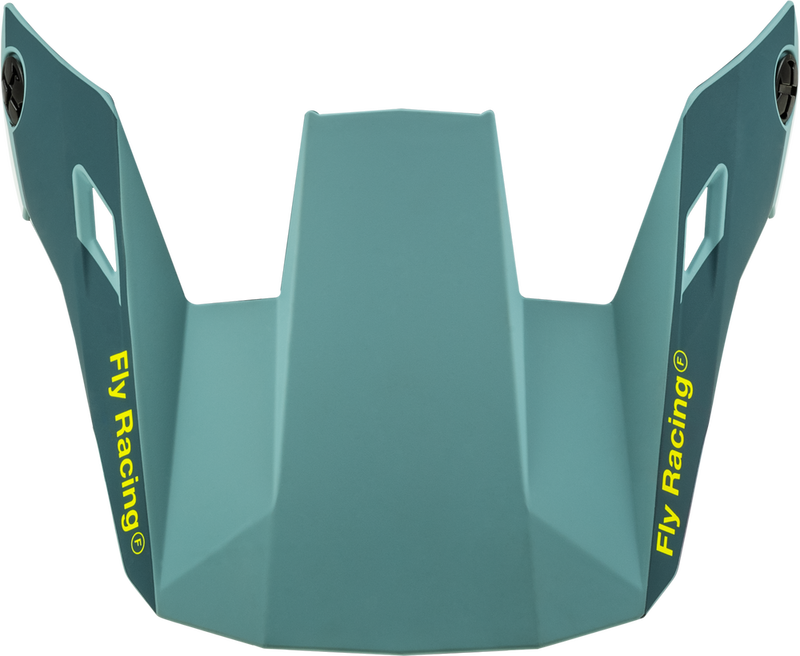 Fly Racing Youth Rayce Helmet Visor (2024)