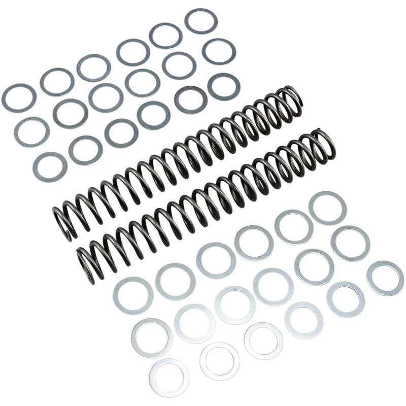 Race Tech Spring - FRSP S3827100 For Harley Sportster 2006-2017 | Ducati Motorcycles 1995-2011