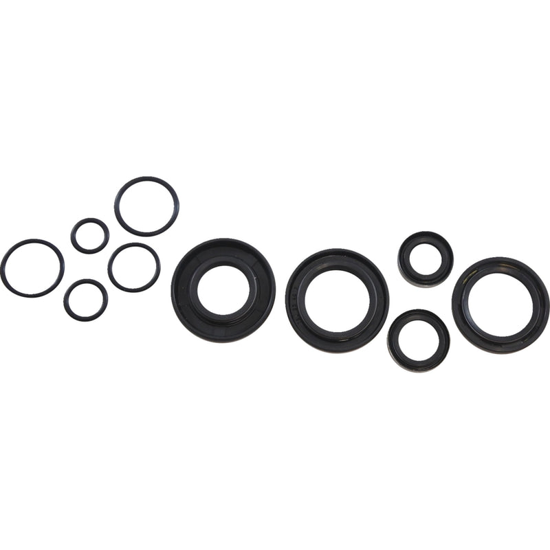 Vintco Oil Seal Kit - KOS013 Kawasaki KX 125 1978-1979