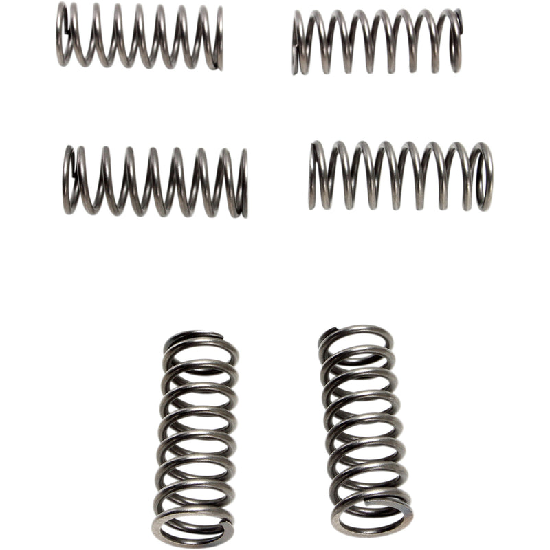 EBC CSK Series Spring Set - CSK198 Suzuki 750 / 750W / 600F Katana 1990-1997