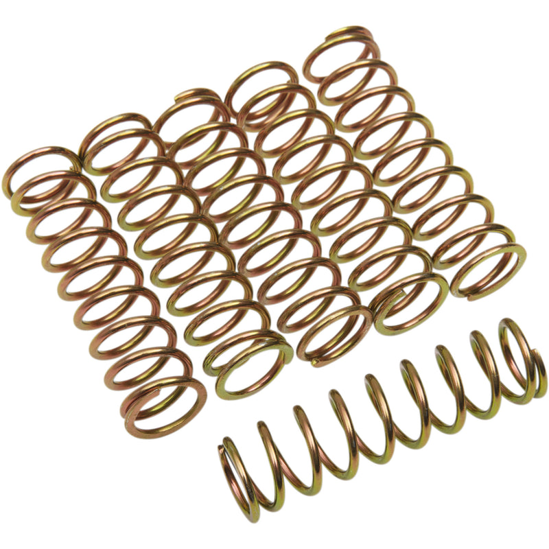 Barnett Spring Set - 501-56-06096 Honda RVT1000R 2000-2006