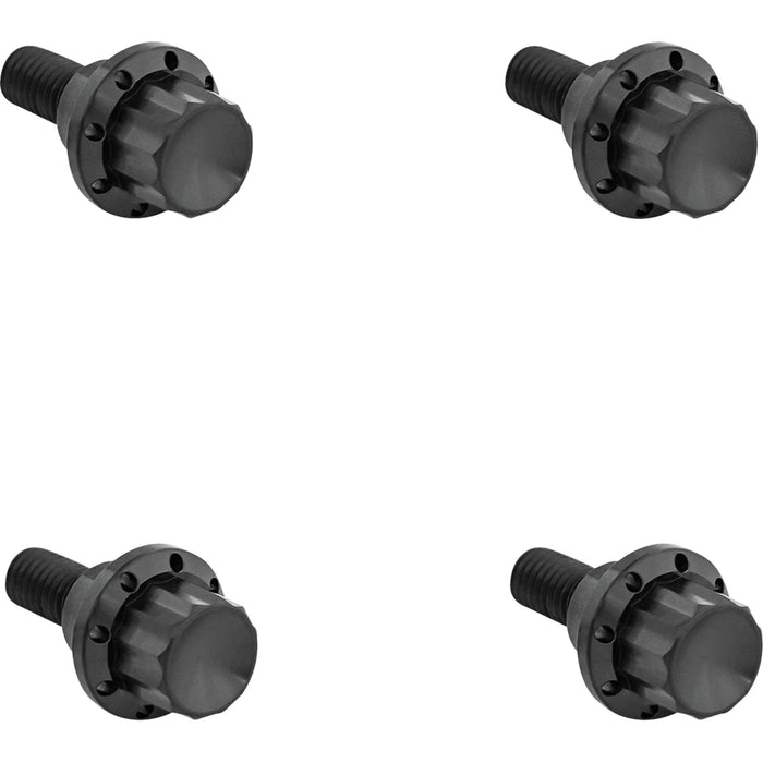 ARLEN NESS 2401-1782 300-810 Windshield Titanium 12-Point Bolt Kit Bolt Kit - Windshield - 12-Point - Titanium - Black