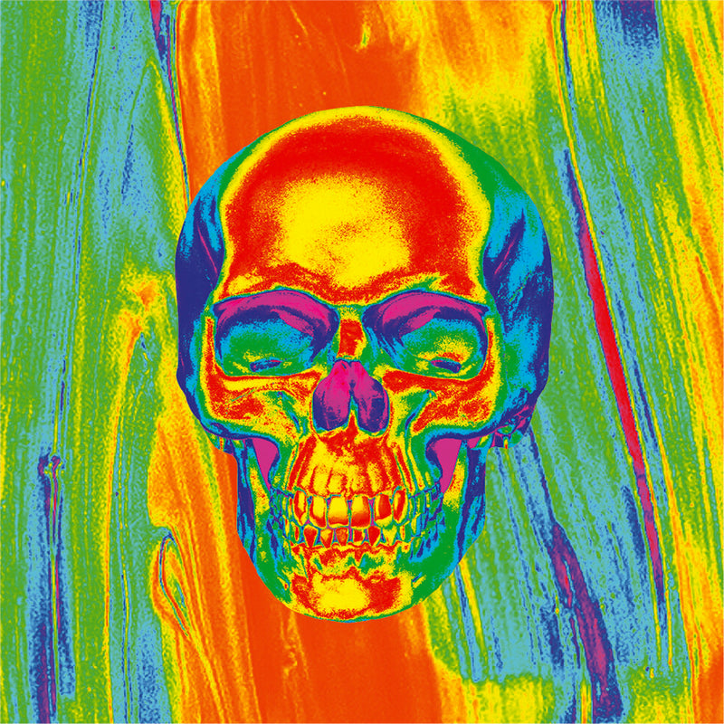 Zan Headgear 26-5358 ZM595 POLY MICROMESH THRML FLYDANNA SKULL