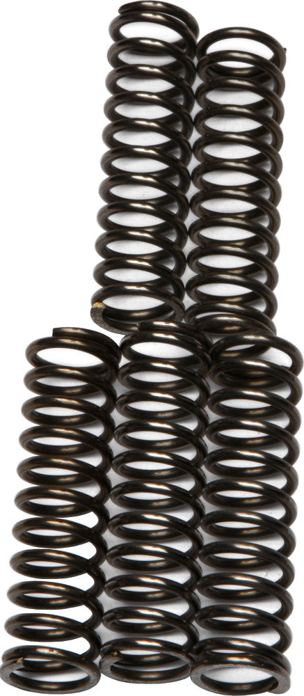 Ebc Clutch Springs - CSK67 Kawasaki 900 / Ninja / 1000 1998-2006