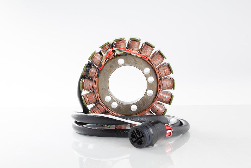Rick's Motorsport Electric Stator - 21-216 Kawasaki Ninja 2002-2004