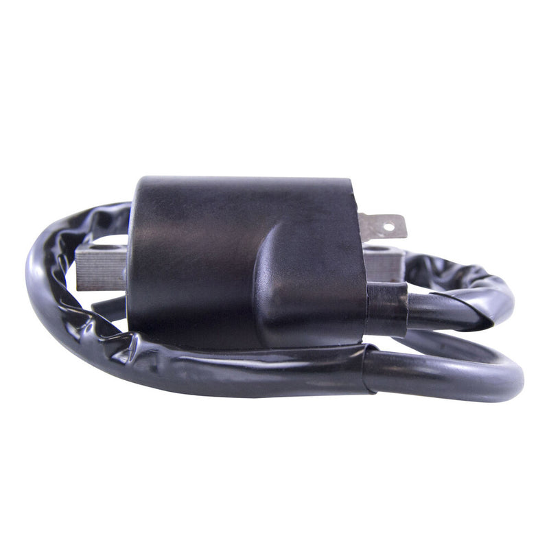 Rm Stator 97-0057 RM06035 EXTERNAL IGNITION COIL