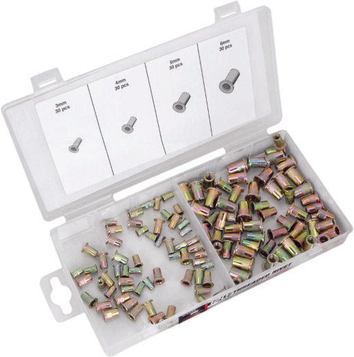 Performance Tool 117-1119 W5252 THREADED INSERT RIVETS METRIC