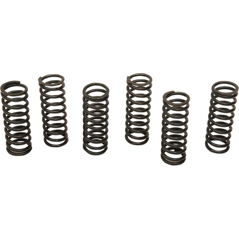 Barnett Spring Set - 501-60-06085 For Suzuki 650 / 650S / 1000 1999-2002 | Honda CBR1100XX Super Blackbird 1999-2003