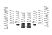 Eibach E85-209-001-02-22 Pro-utv Stage 2 14-16 Polaris RZR XP 1000 EPS (2 Seat) - Photo - Primary