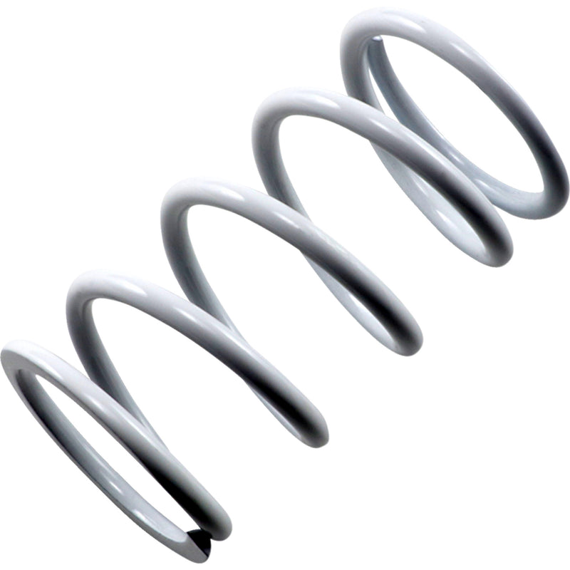 EPI PS-2X PS-2 Primary Clutch Spring Primary Spring