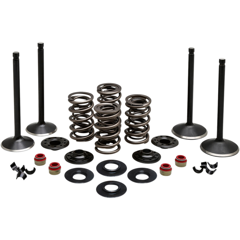 Kibblewhite Black Diamond™ Engine Kit - 20-23050 For Harley Motorcycles 1999-2004