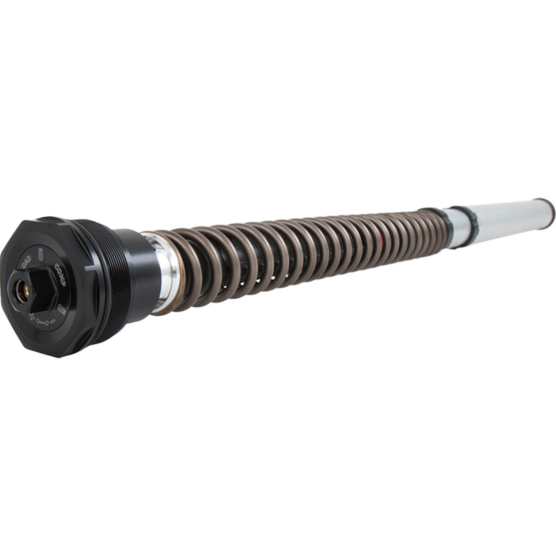 Ohlins NIX 30 Cartridge - FKS 501 Ducati Scrambler 2015-2021
