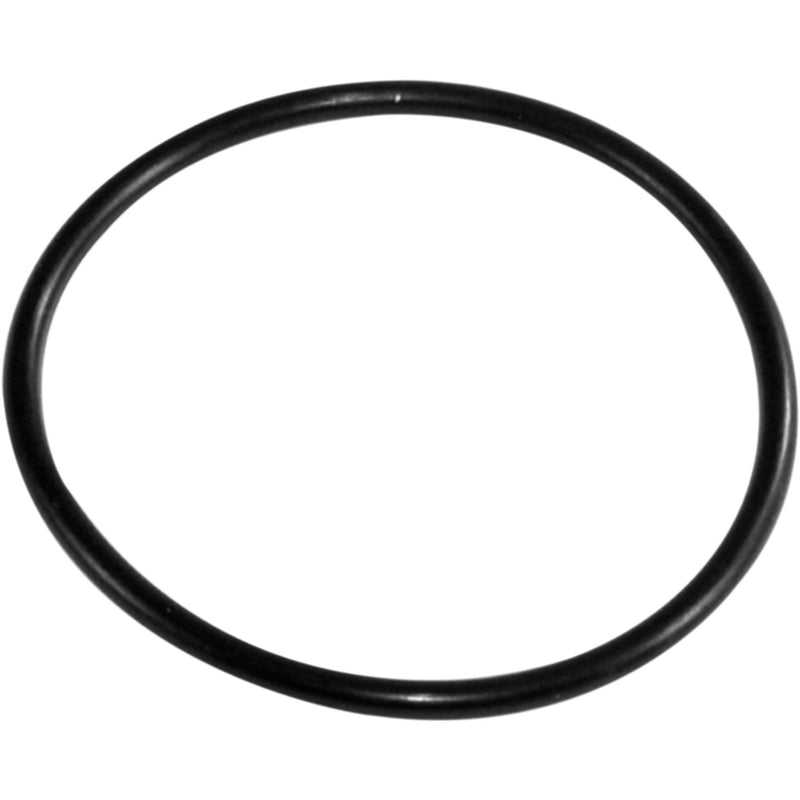 EPI WE300470 WE300470 Bearings And Seals O-Ring Hub - Front Outer