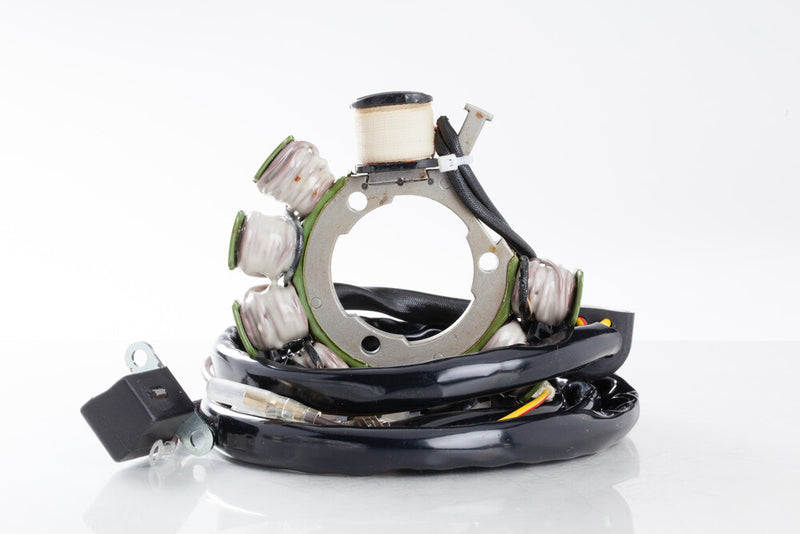 Rick's Motorsport Electric 27-21554 21-554 STATOR