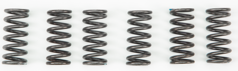 Ebc 15-1702 CSK2 CLUTCH SPRINGS CSK2