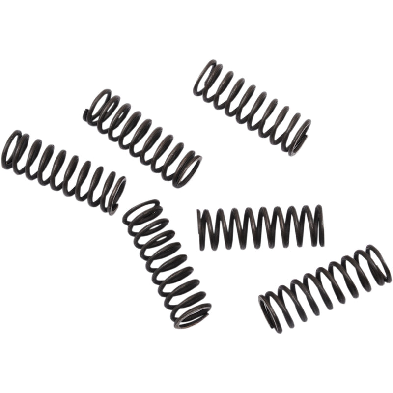 Moose Offroad Spring Set - FHDS155-6 Honda CRF450R / CRF450RX / CRF450RWE 2017-2020