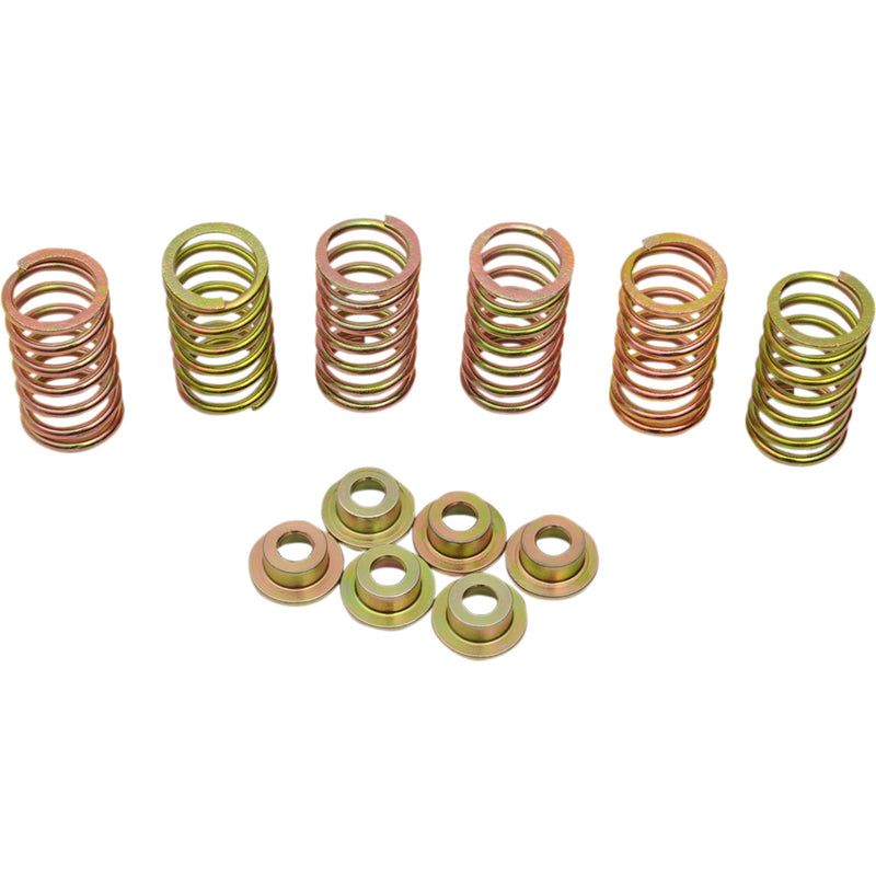 Barnett Spring Set - 505-44-06090 Ducati Motorcycles 1981-2006