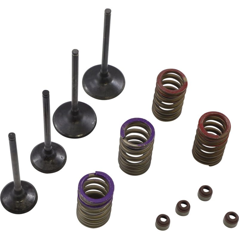 Wiseco Garage Buddy Valve Kit - SVKB4336 Kawasaki KX 250 2007-2008